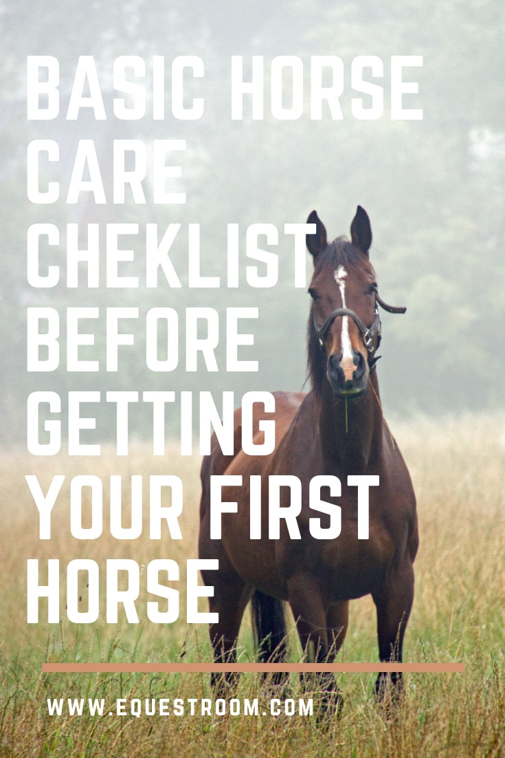 HORSE CARE BASICS CHECKLIST