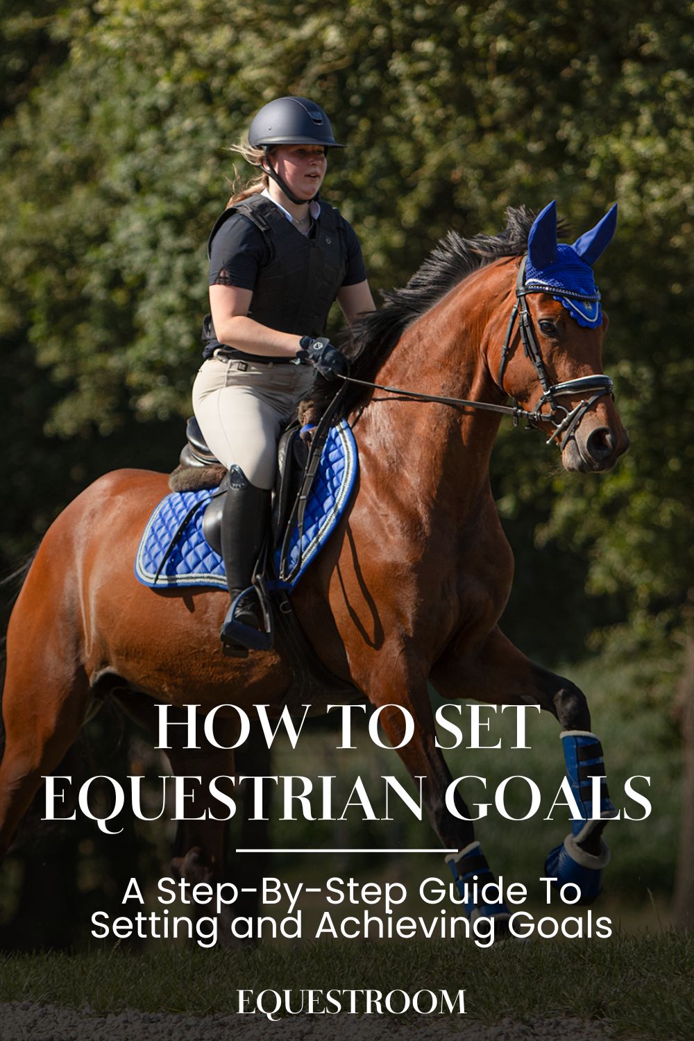 Setting and Achieving Equestrian Goals Equestroom