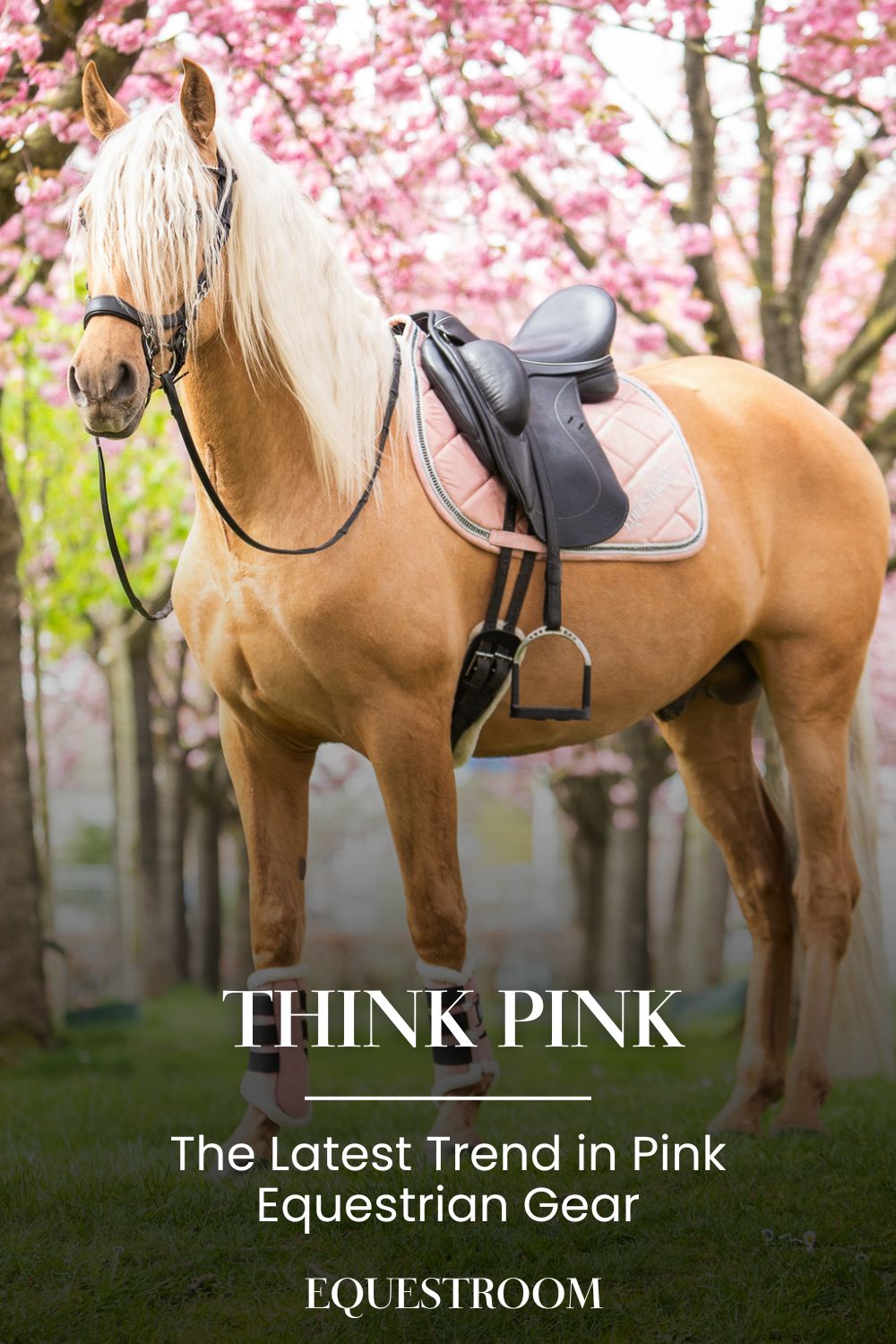 Think Pink: The Latest Trend in Pink Equestrian Gear