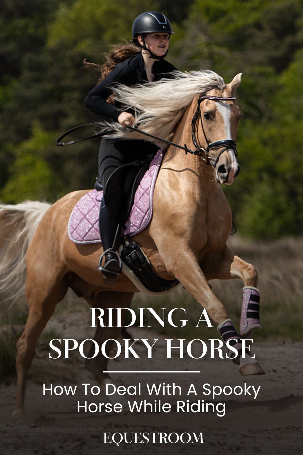 Riding A Spooky Horse Equestroom