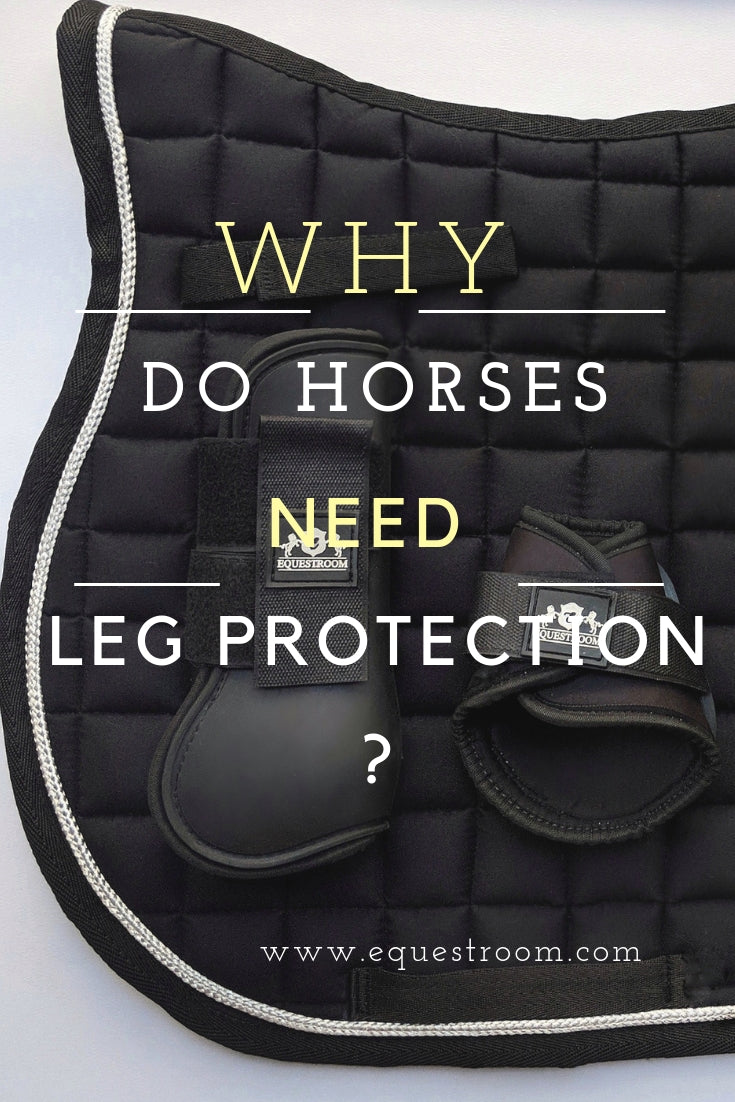 5 REASONS WHY YOUR HORSE NEEDS LEG PROTECTION