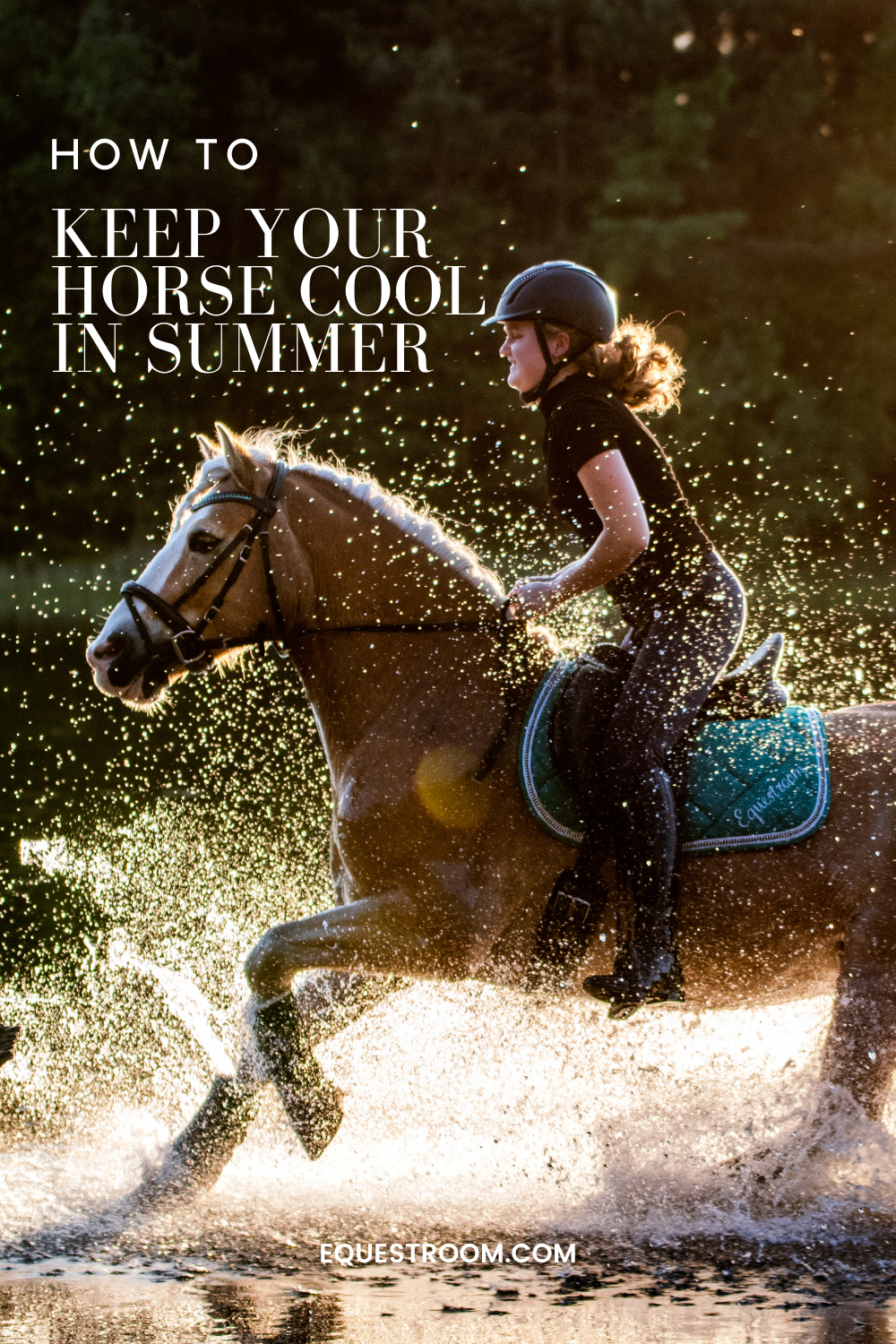 KEEPING YOUR HORSE COOL IN SUMMER 
