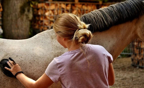 EQUESTRIAN GROOMING TIPS