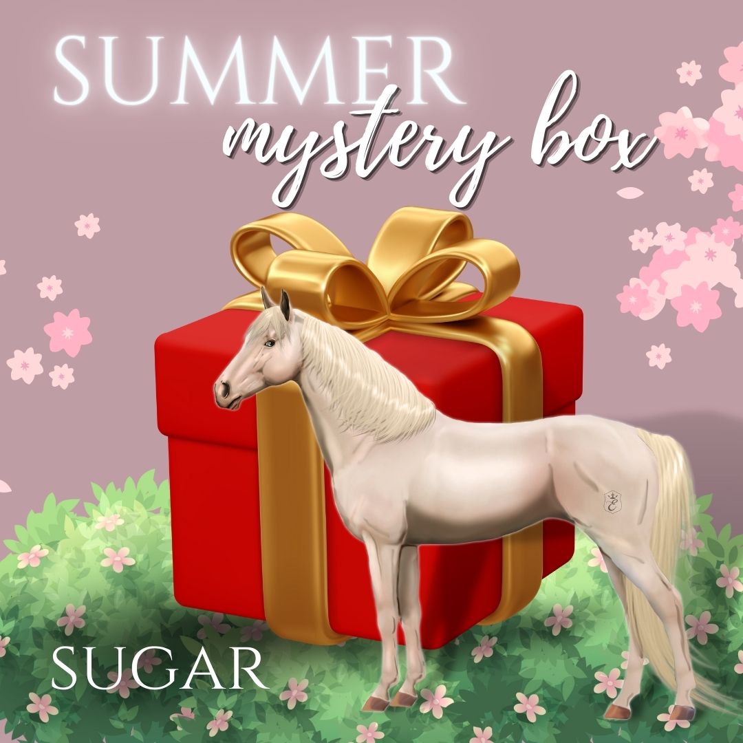Summer Mystery Box - SUGAR