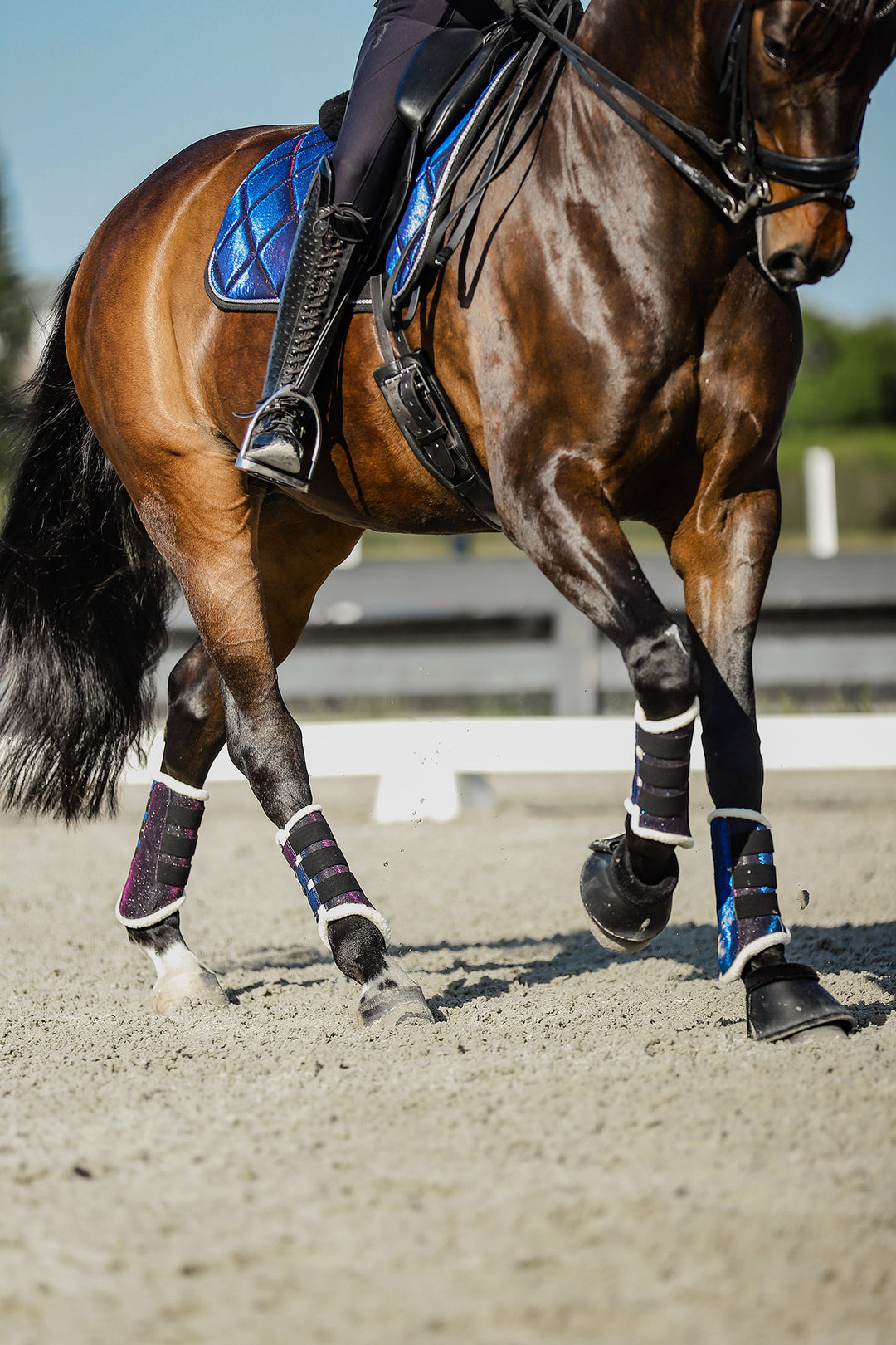 Ultraviolet Saddle Pad Set