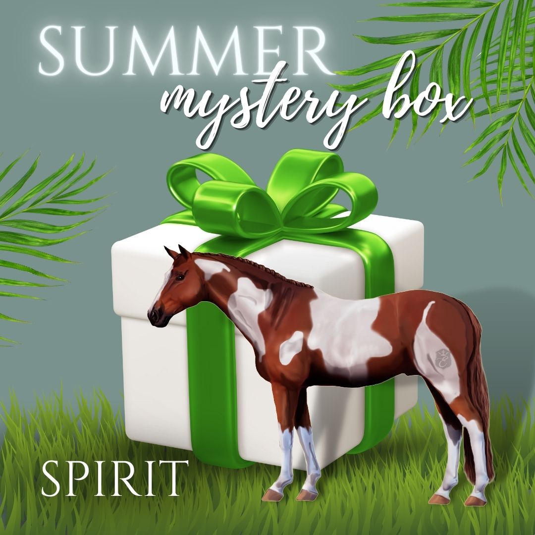 Summer Mystery Box - SPIRIT