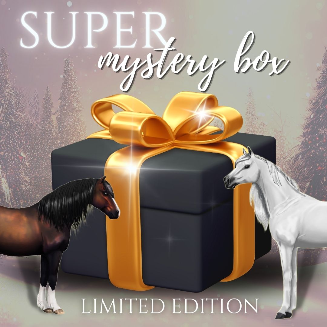 SUPER MYSTERY BOX