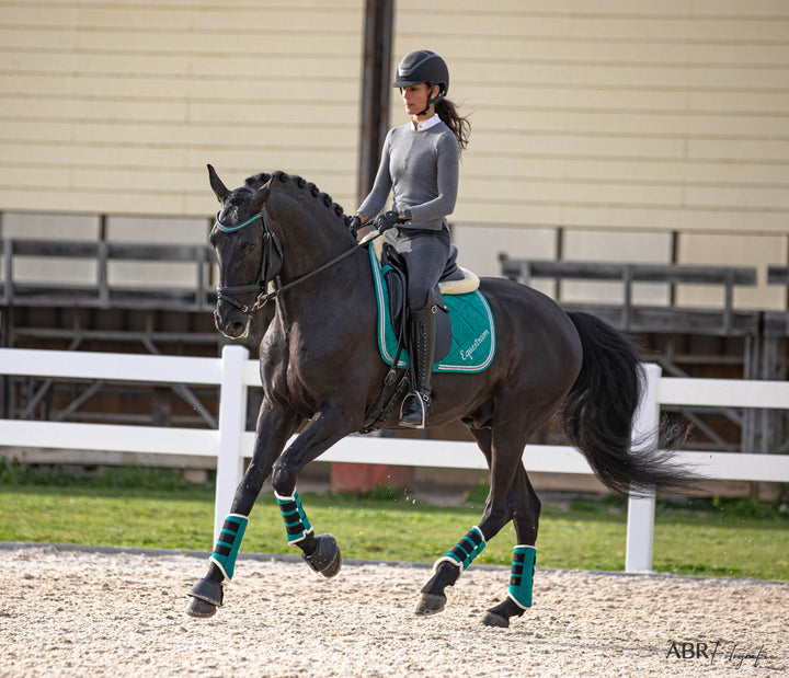 Teal Saddle Pad Set