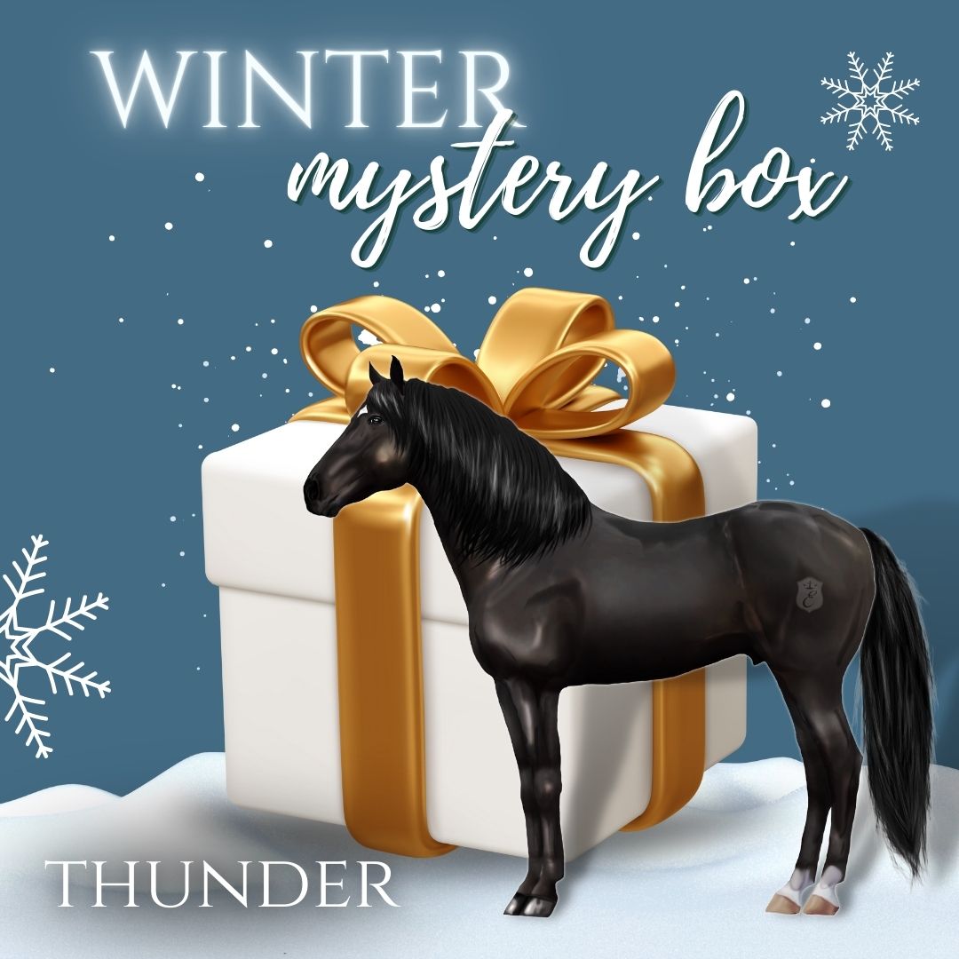 choose your horse gear set box Equestroom - Winter Mystery Box