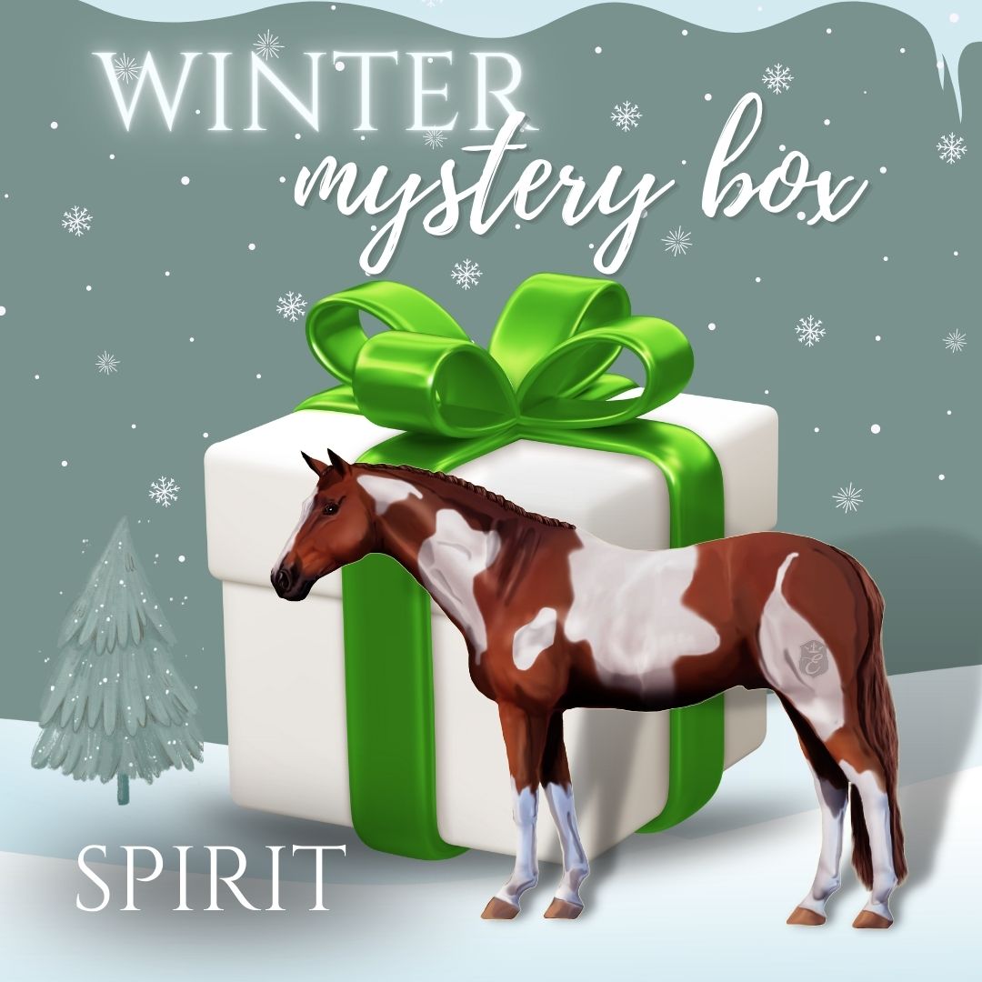 choose your horse gear set box Equestroom - Winter Mystery Box