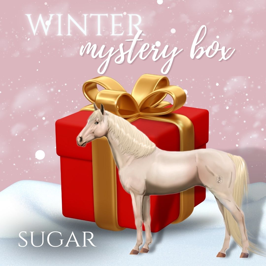 choose your horse gear set box Equestroom - Winter Mystery Box
