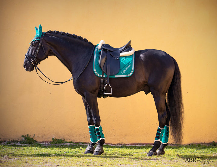 Teal Saddle Pad Set