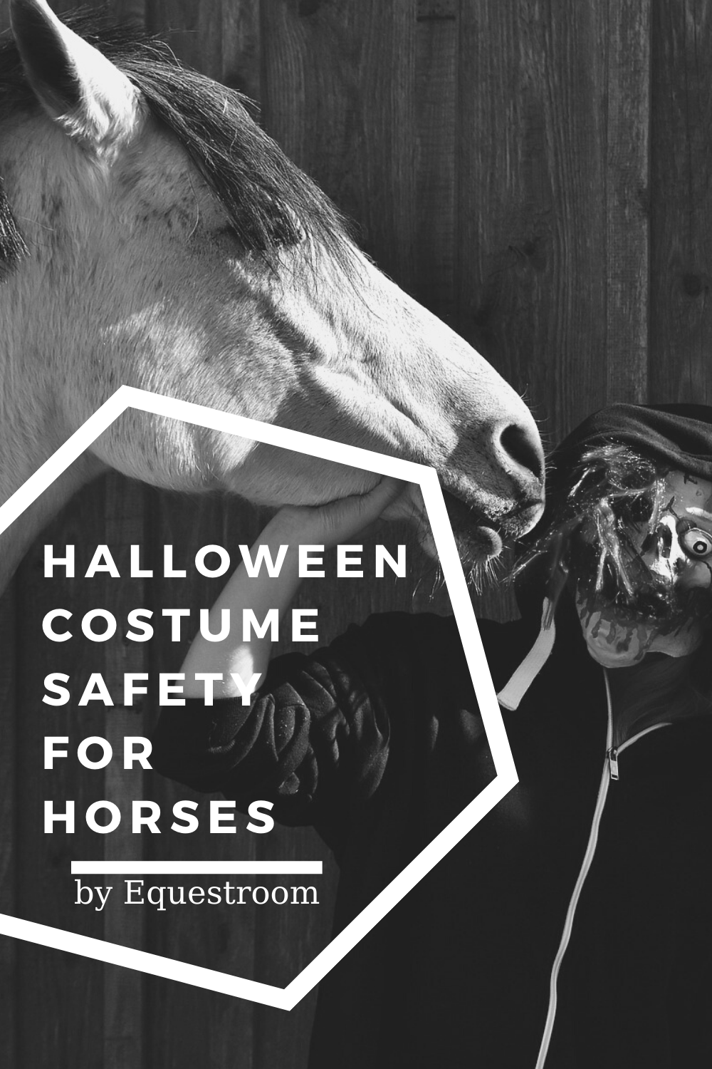 HALLOWEEN COSTUME SAFETY FOR HORSES