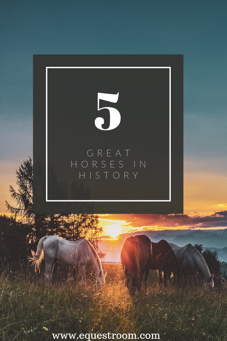 5 GREAT HORSES IN HISTORY