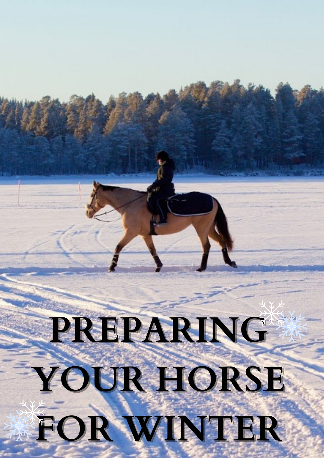 PREPARING YOUR HORSE FOR WINTER