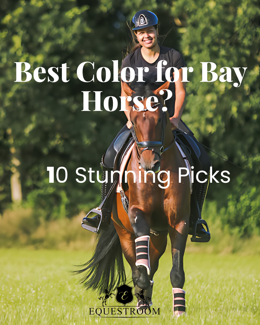 Bay horse running through a field