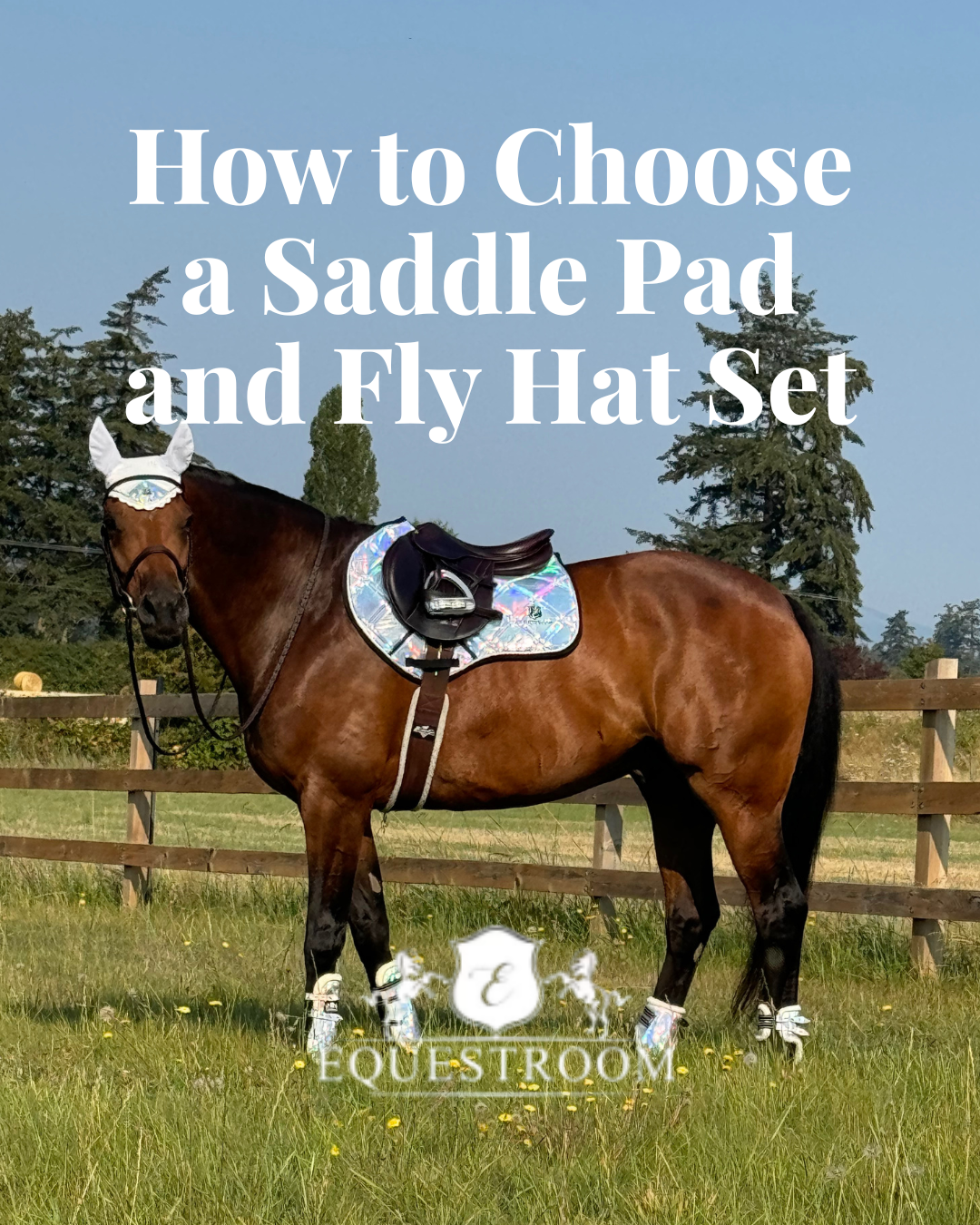 How to Choose a Saddle Pad and Fly Hat Set
