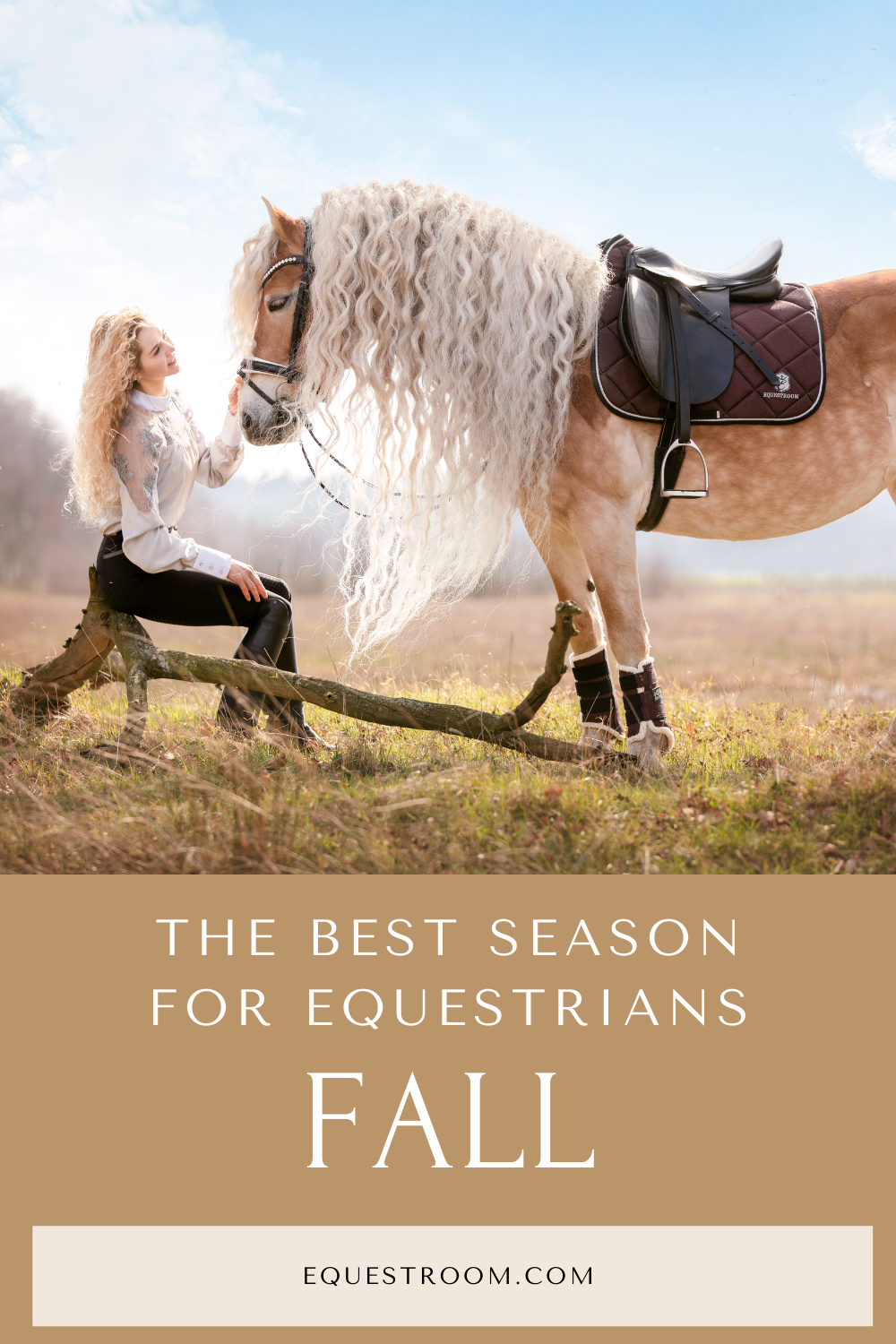 FALL, THE BEST SEASON FOR EQUESTRIANS