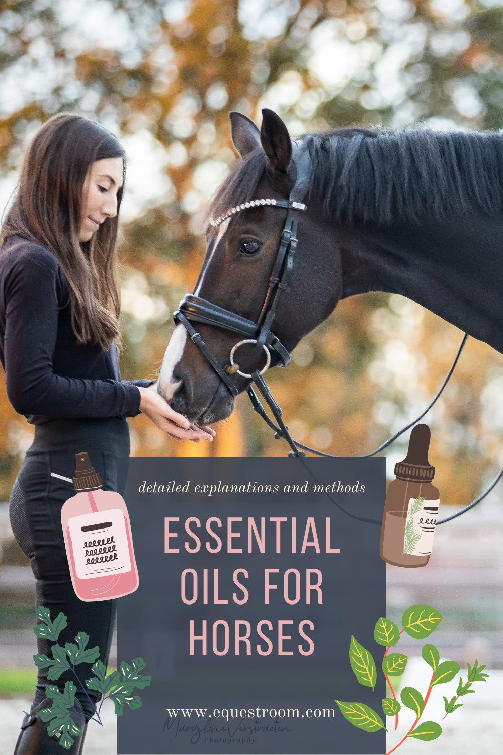 ESSENTIAL OILS FOR HORSES