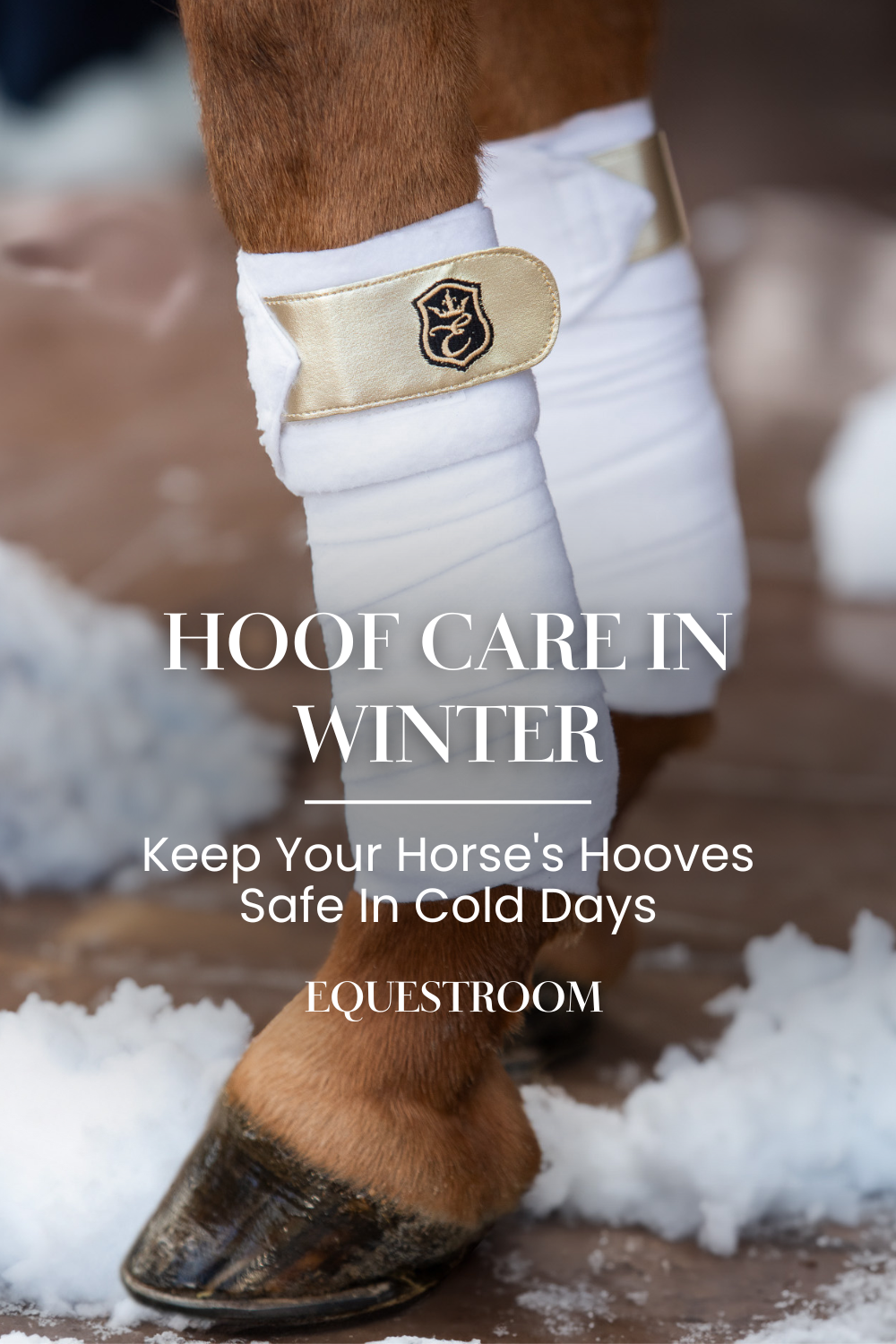 HOOF CARE IN WINTER
