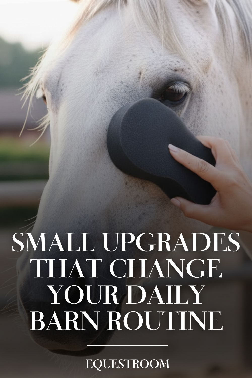 Small Upgrades That Change Your Daily Barn Routine