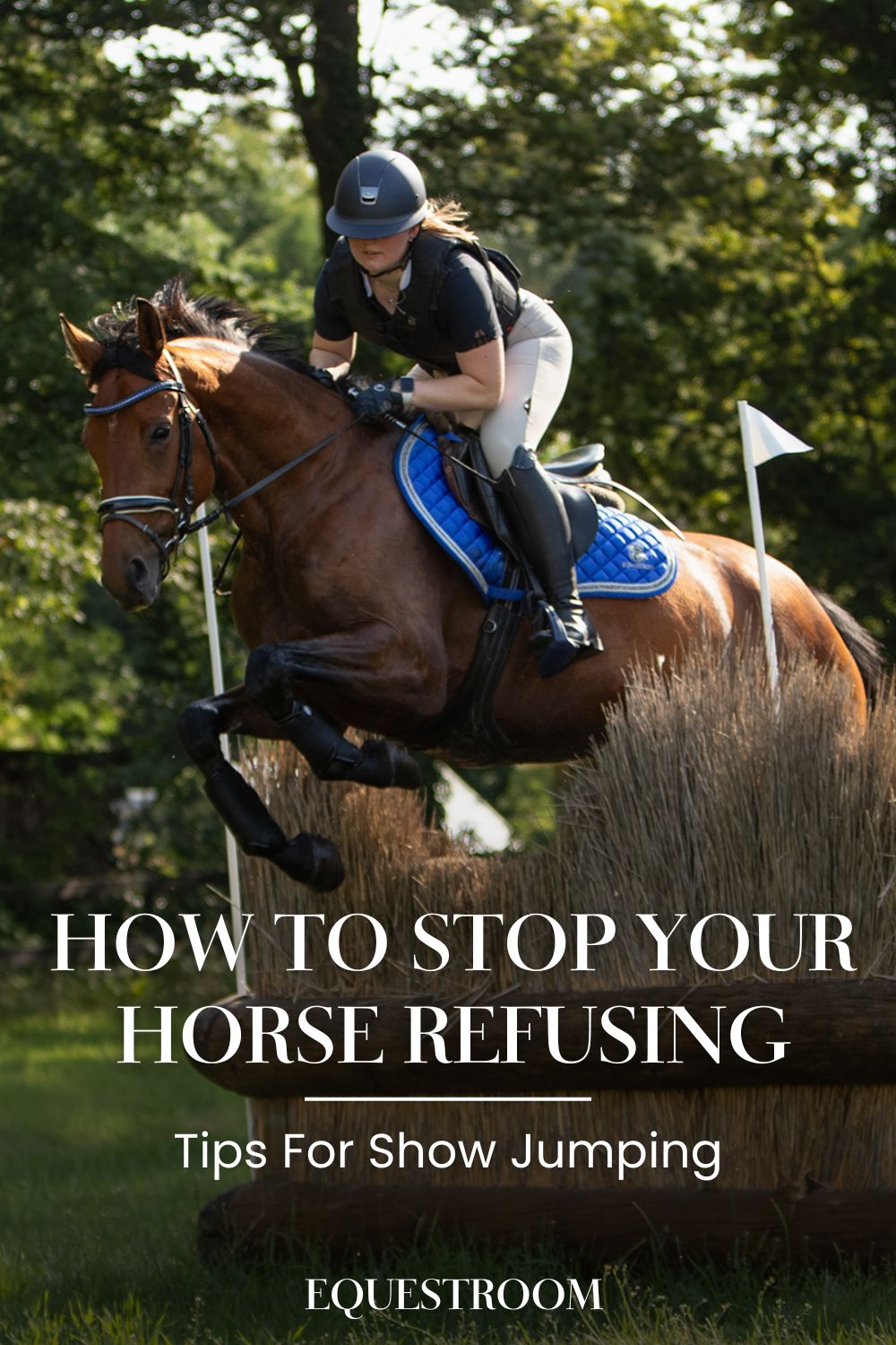 HOW TO STOP YOUR HORSE FROM REFUSING