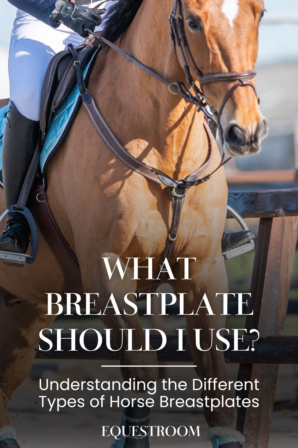 What Breastplate Should I Use Understanding the Different Types of