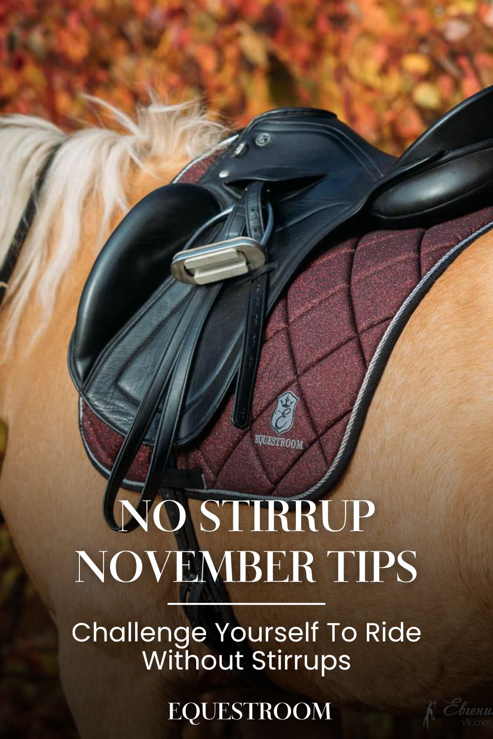 No Stirrup November Challenge