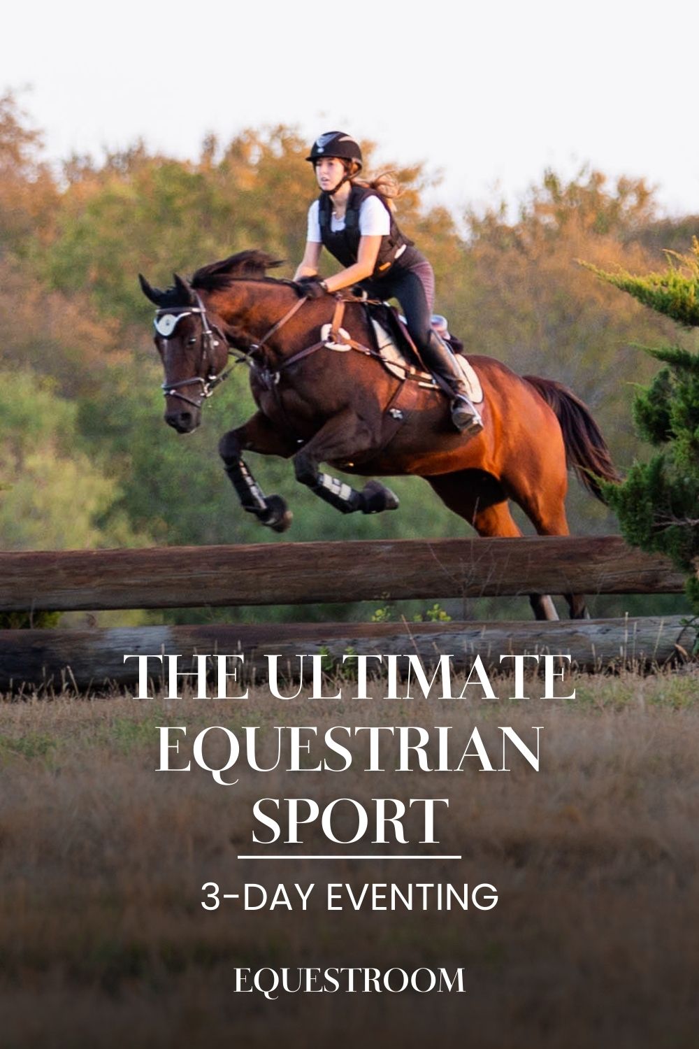 The Ultimate Equestrian Sport Equestroom