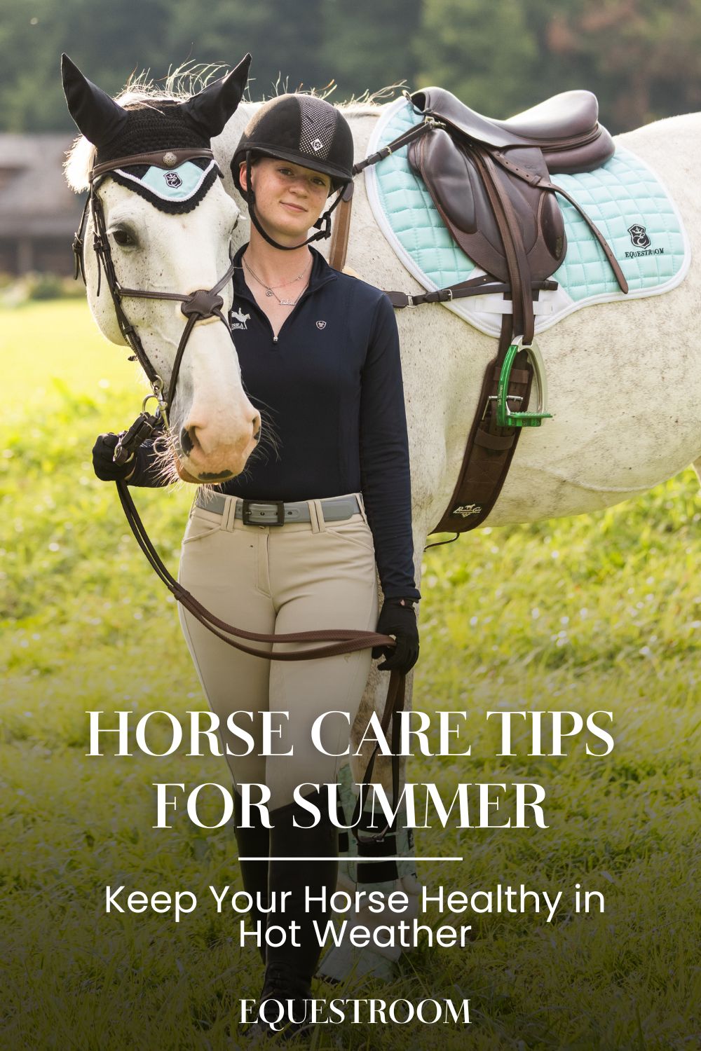 7 HORSE CARE TIPS FOR SUMMER