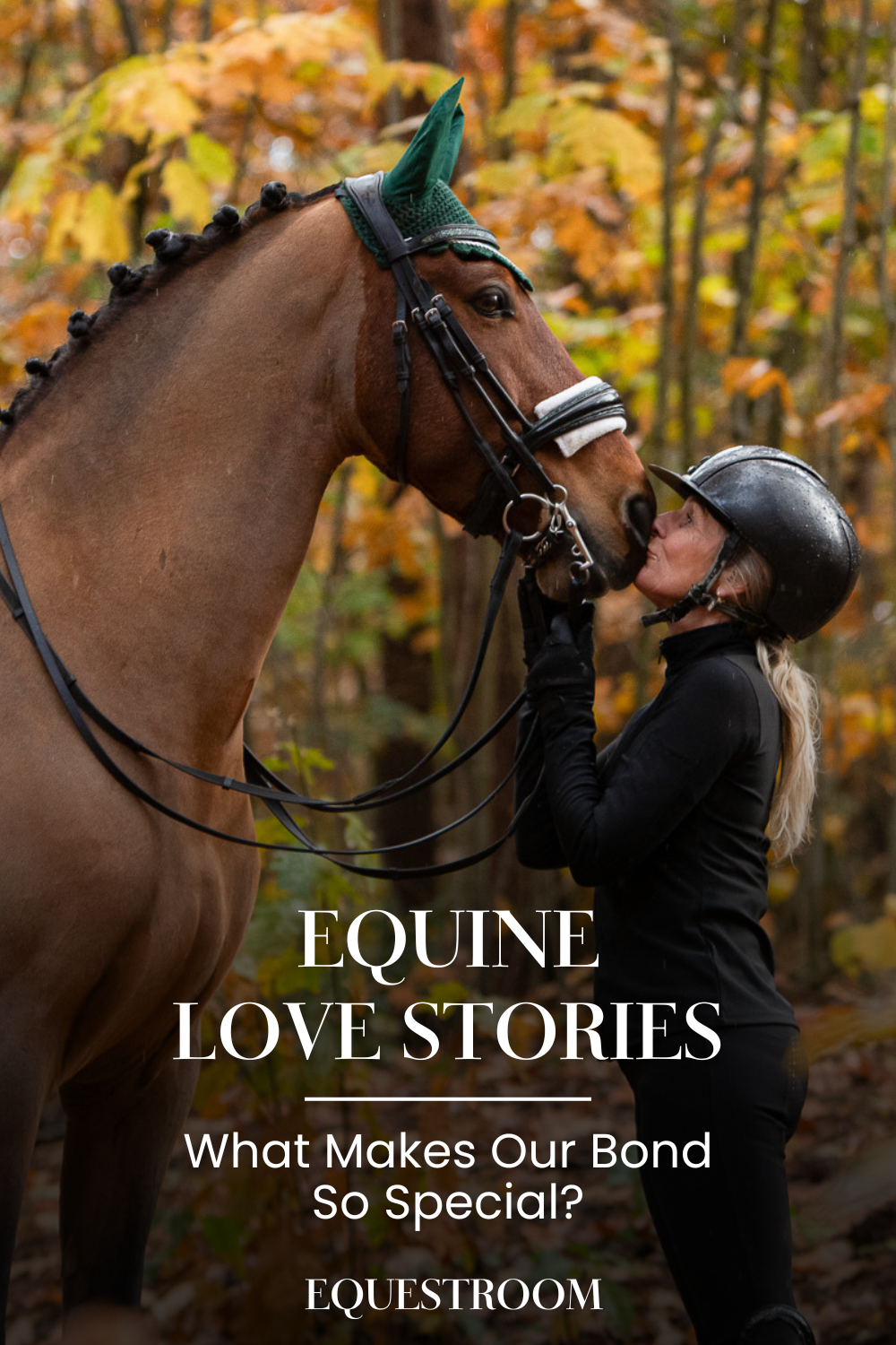 Equine Love Stories