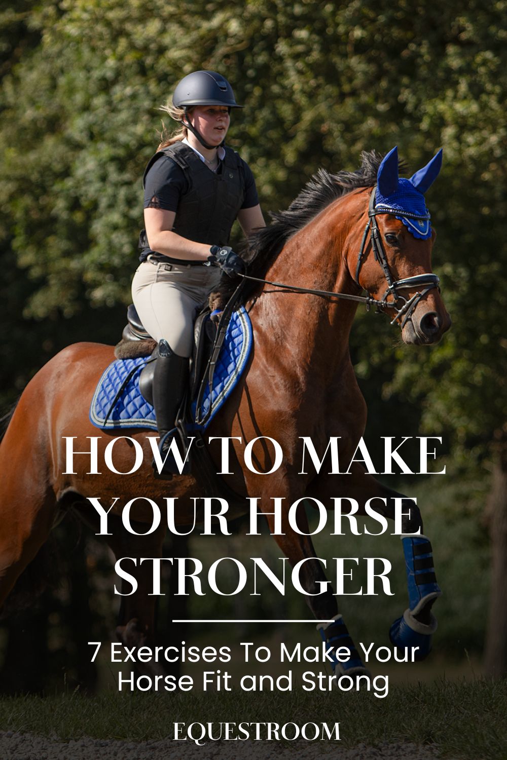 HOW TO MAKE YOUR HORSE STRONGER – Equestroom