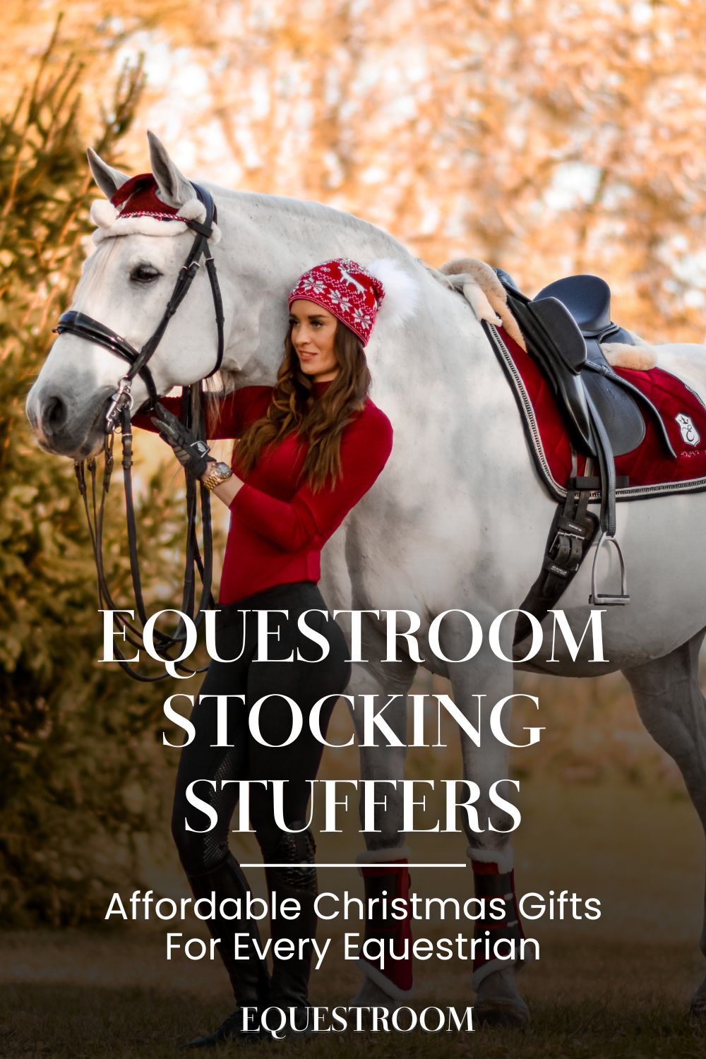 Equestroom Stocking Stuffers Equestrians will Love