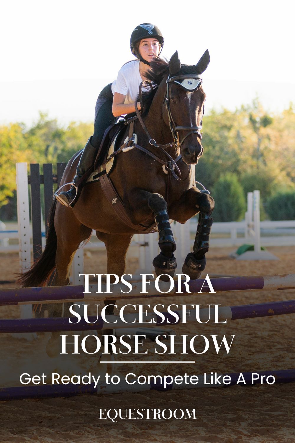 Get Ready to Compete Like A Professional Rider