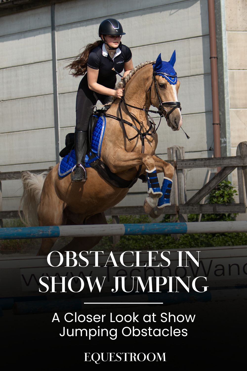 Obstacles In Show Jumping