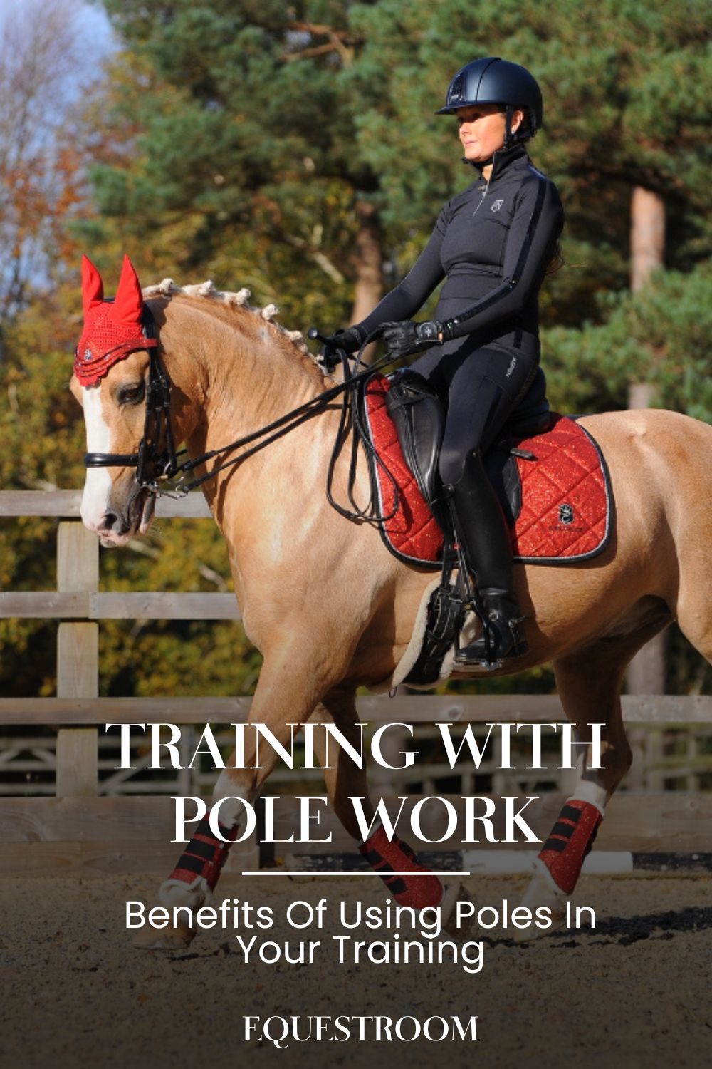 Training With Pole Work