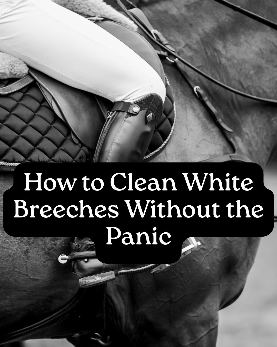How to Clean White Breeches Without the Panic