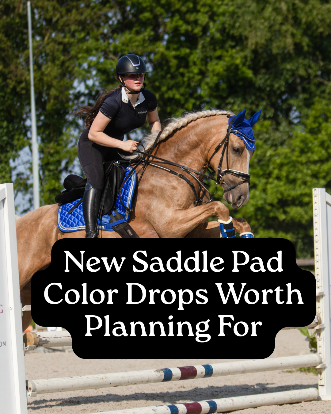 New Saddle Pad Color Drops Worth Planning For