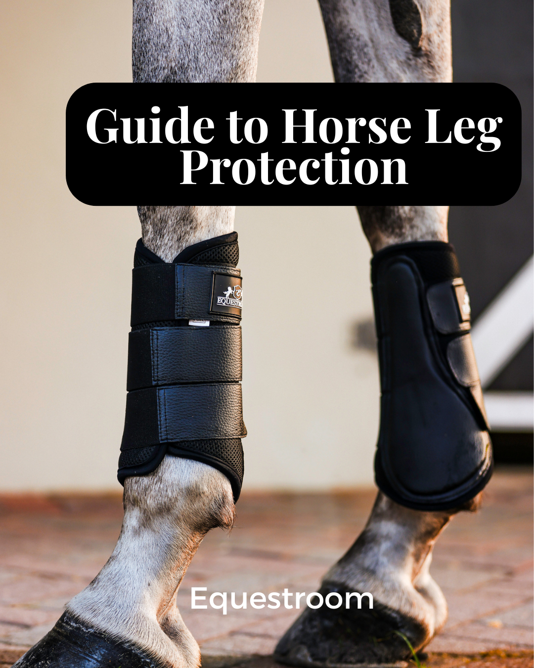Guide to Horse Leg Protection