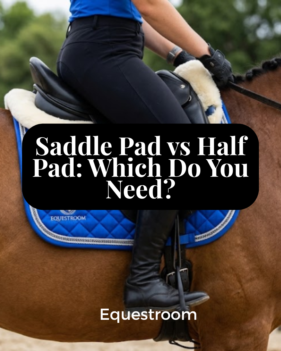 Saddle Pad vs Half Pad: Which Do You Need?