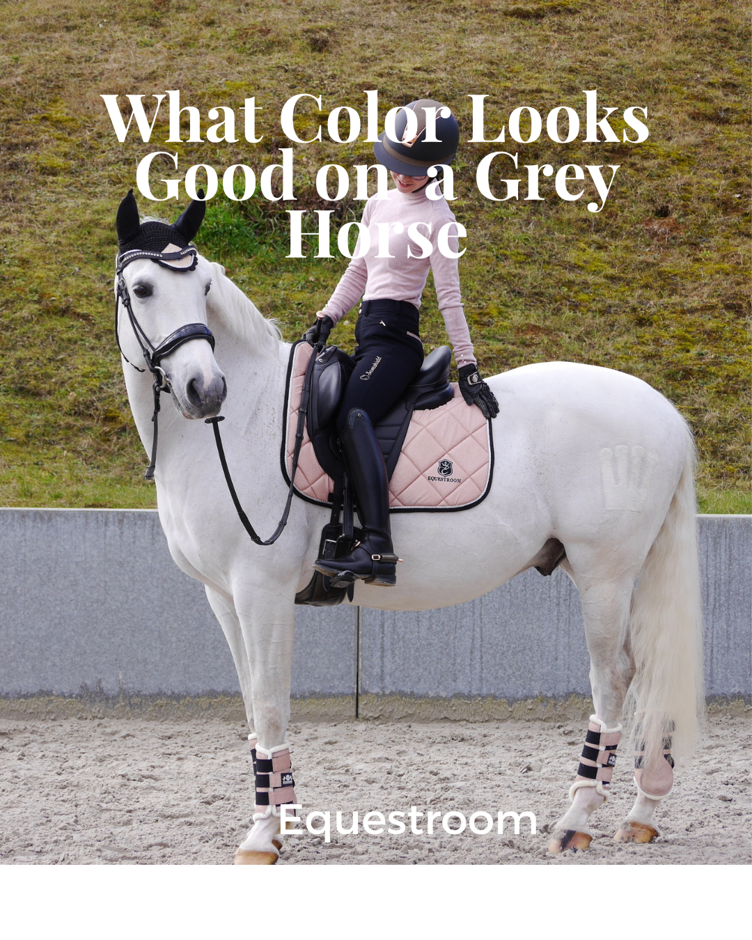 What Color Looks Good on Grey Horse?