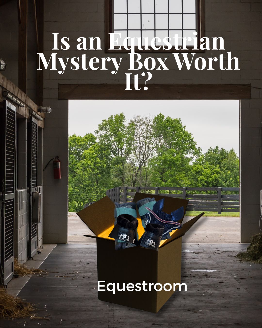 Is an Equestrian Mystery Box Worth It?