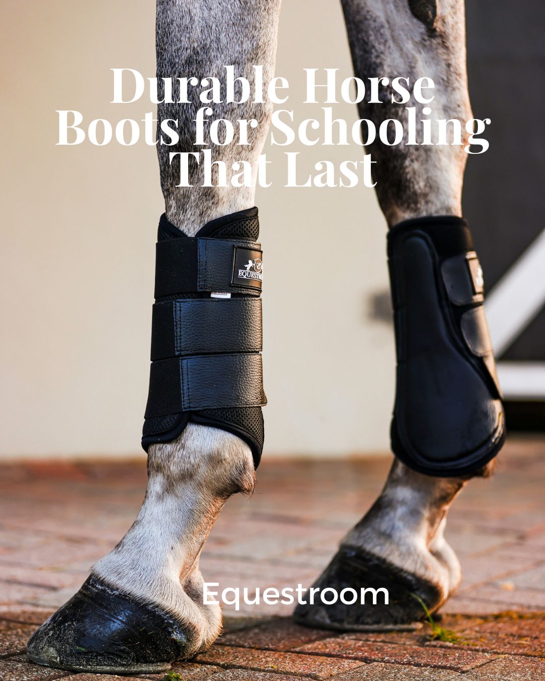 Durable Horse Boots for Schooling That Last