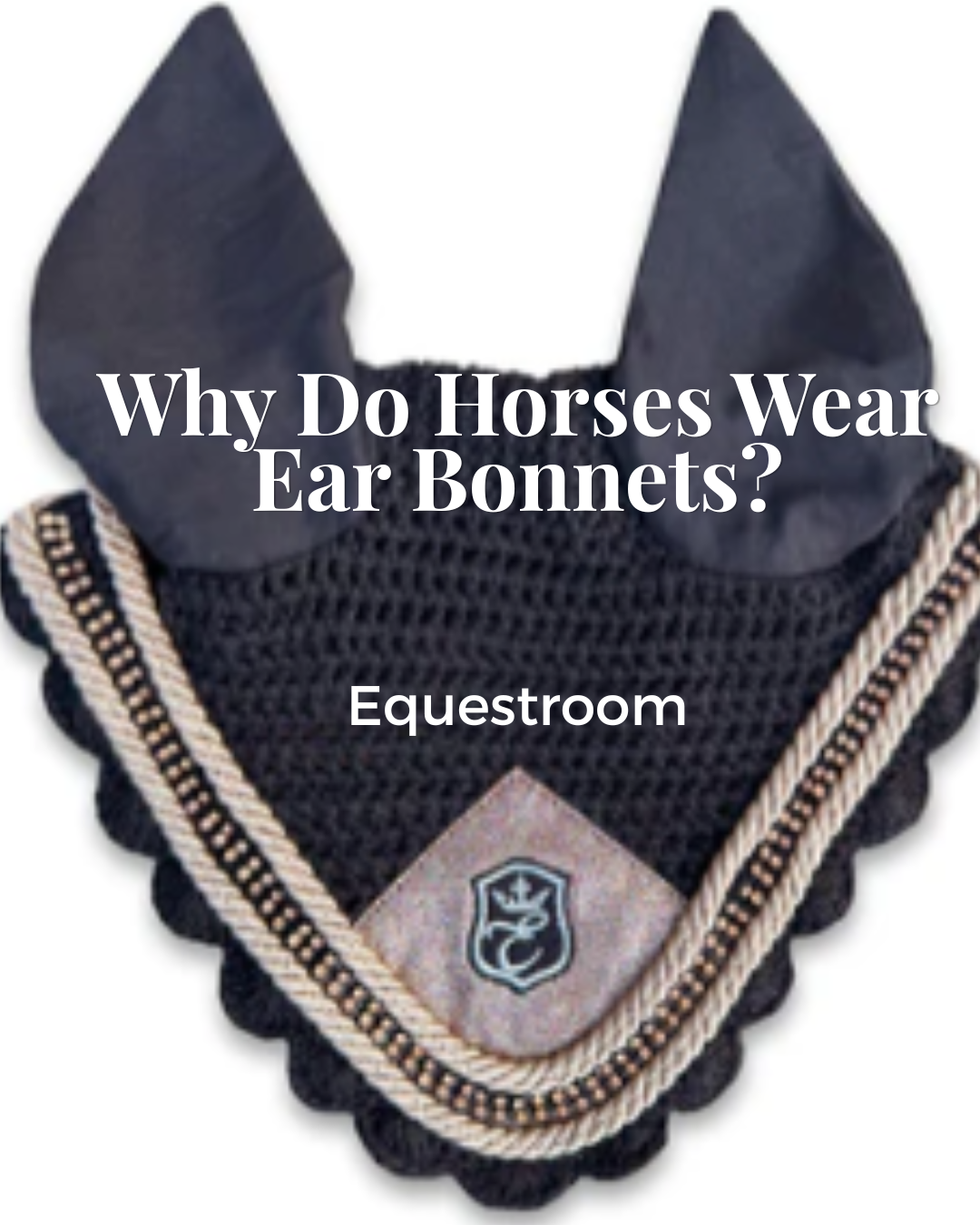 Why Do Horses Wear Ear Bonnets?