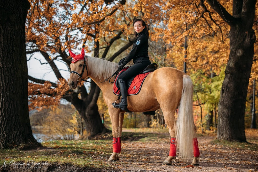HORSE TRAIL RIDING TIPS