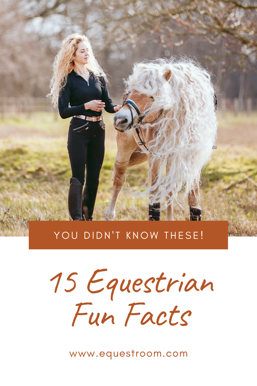 15 EQUESTRIAN FUN FACTS