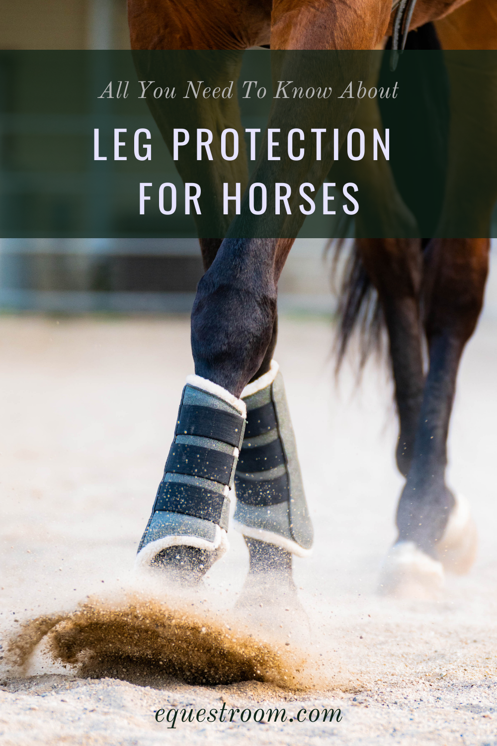 LEG PROTECTION FOR HORSES
