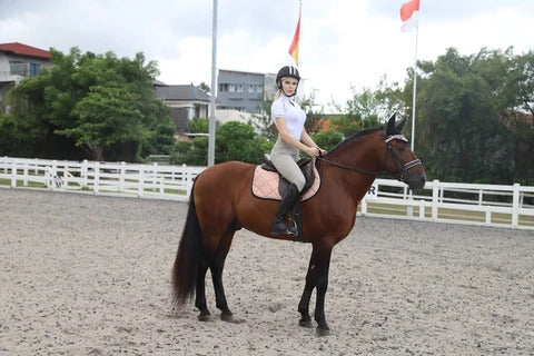 EQUESTRIAN FITNESS GUIDE