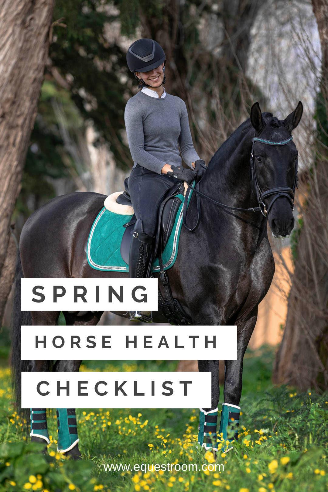 SPRING HORSE HEALTH CHECKLIST