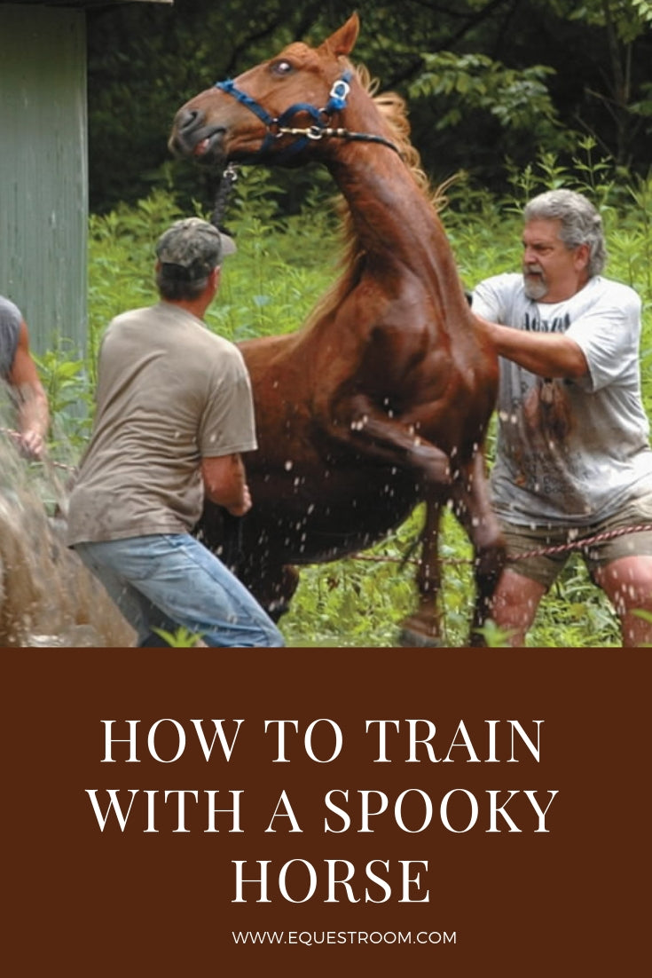 HOW TO TRAIN A SPOOKY HORSE
